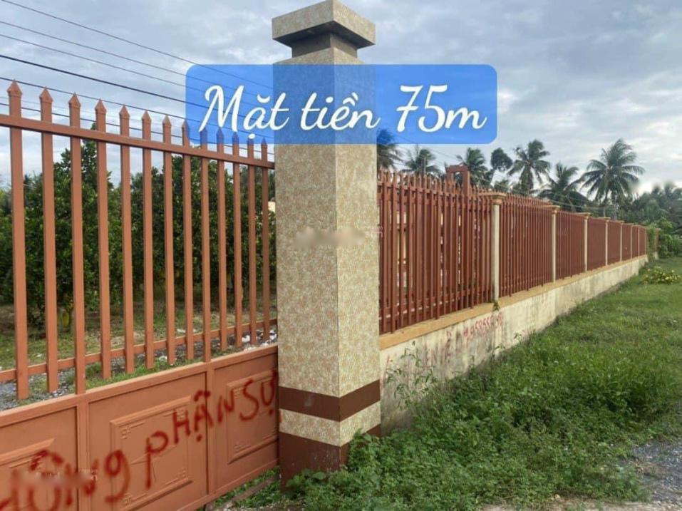 Cần bán gấp lô đất nền 50000 m2, mặt tiền 75m tại Xã Tân Long - Mang Thít - Vĩnh Long, giá 20 tỷ