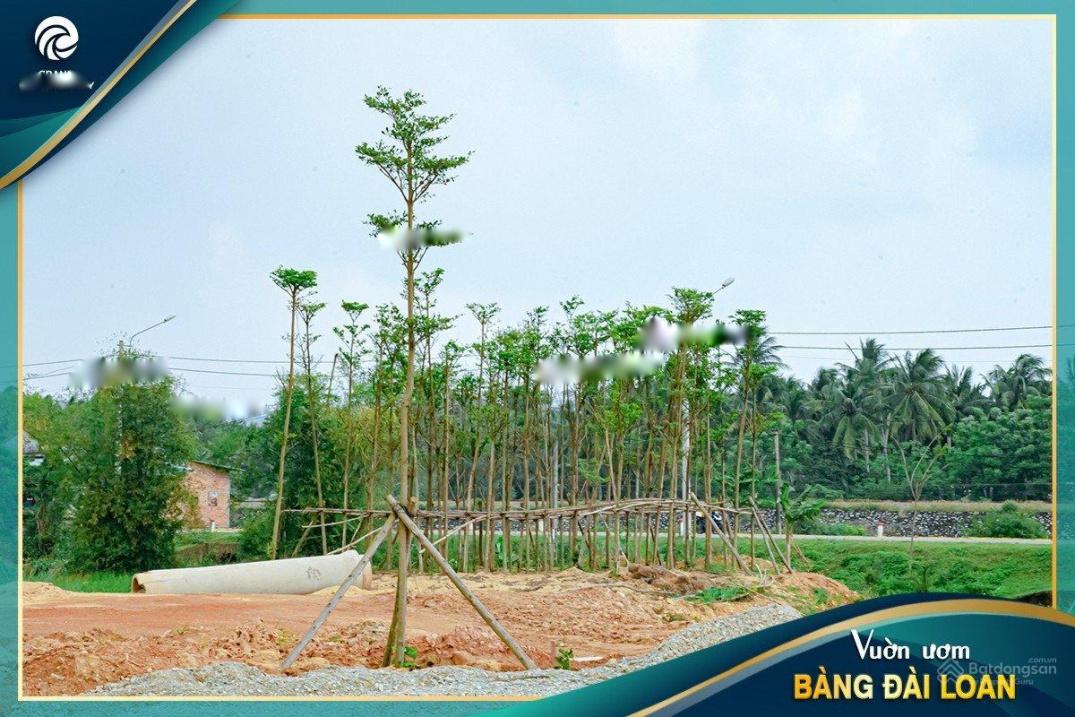 Cần bán ngay đất dự án 100 m2 tại Xã Tam Quan Bắc - Hoài Nhơn - Bình Định, giá 1,8 tỷ