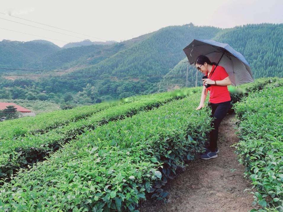 Chuyển nhượng nền đất tại Xã Xuân Đài - Tân Sơn - Phú Thọ, giá 21 tỷ