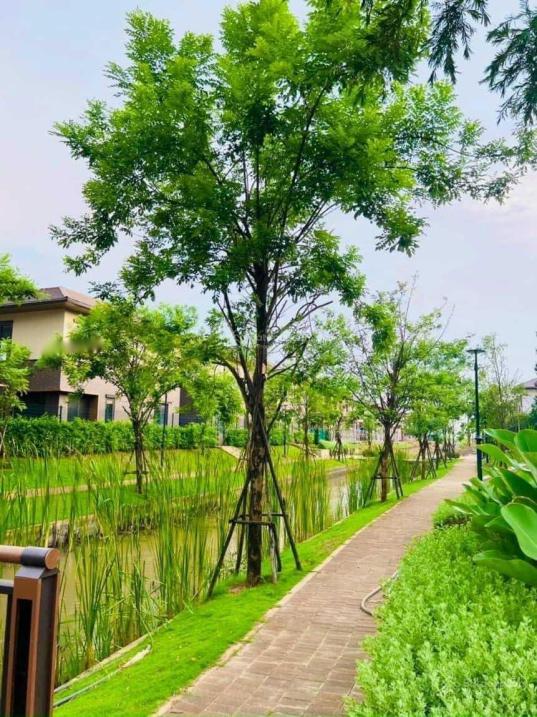 Cần bán căn biệt thự 3 tầng, 90 m2, giá 3,7 tỷ tại Đường Tỉnh lộ 824 - Bến Lức - Long An