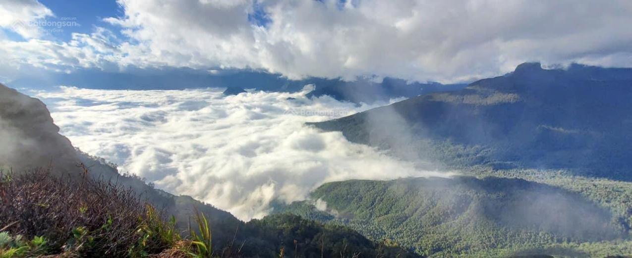 Chính chủ cần bán homestay đang thi công có view mây, có thể vận hành sớm khách quanh năm