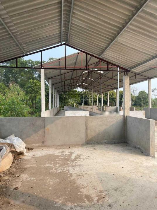 Bán đất chuyển đổi hơn 2000m2 chính chủ tại Tứ Kỳ, Hải Dương