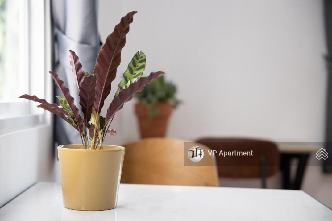 Cho thuê phòng 40 m2 tại Đường Nguyễn Đình Chiểu - 7 - Phú Nhuận, sẵn nội thất, giá 8 tr/tháng