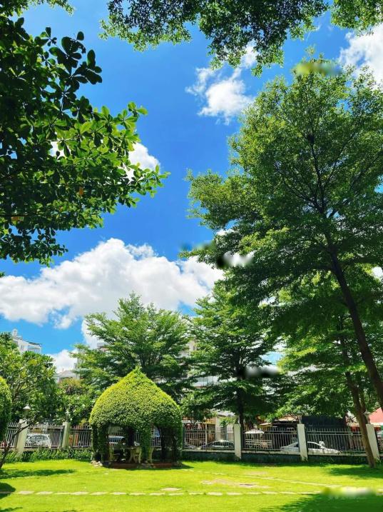 Cần cho thuê gấp căn 2 phòng ngủ, 65 m2 tại Đường Phạm Văn Chiêu - Gò Vấp, giá tốt