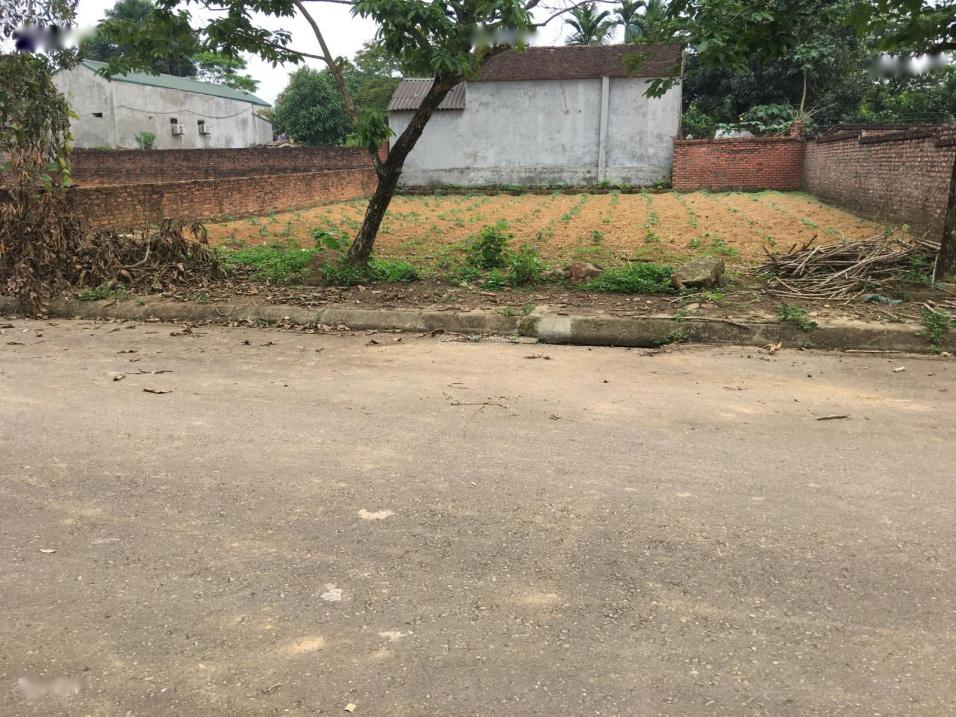 Cần bán nhanh mảnh đất 100 m2, mặt tiền 5m tại Xã Phú Cát - Quốc Oai - Hà Nội, giá 2,3 tỷ