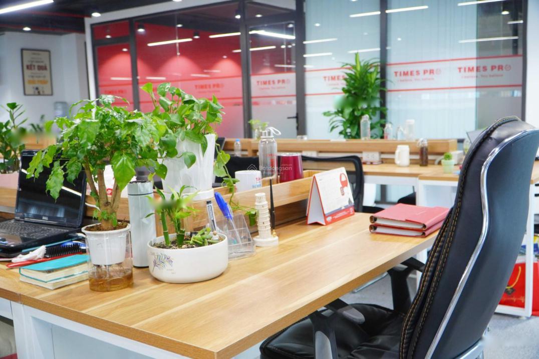 Chỗ Ngồi Coworking Hiện Đại - Giúp Kích Thích Sáng Tạo và Sự Phát Triển Công Việc Của Bạn