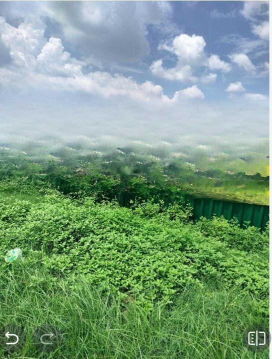 Cho thuê 4ha MT Mai Chí Thọ Quận 2, giá: 40 nghìn/m2/tháng - Ảnh 1