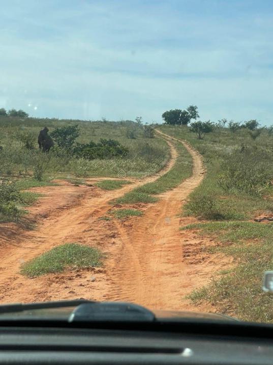 Bán gấp lô đất mặt tiền 54m, hướng Tây - Bắc tại Bắc Bình - Bình Thuận, giá 760 triệu - Ảnh 1