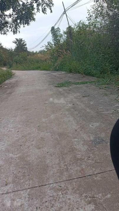 Cần bán đất nền 350 m2, mặt tiền 5m tại Xã Thanh Lương - Bình Long - Bình Phước, thỏa thuận - Ảnh 1