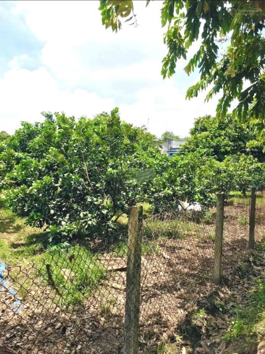 Cần bán gấp lô đất sổ riêng 1 m2, mặt tiền 14m tại Định Quán - Đồng Nai, giá 900 triệu