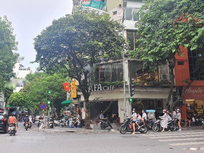 Bán nhanh nền đất 101 m2 tại Đường Tây Trà - Yên Sở - Hoàng Mai - Hà Nội, giá 8,5 tỷ - Ảnh 1