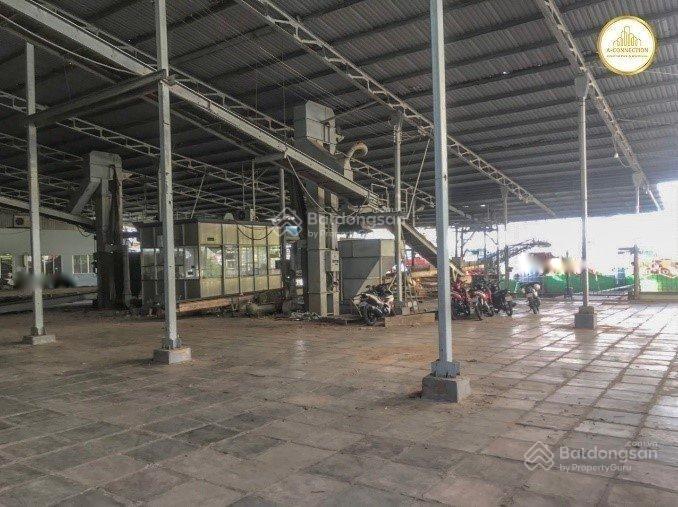 Cho thuê kho xưởng quốc lộ 91 thới lai diện tích gần 20.000m2