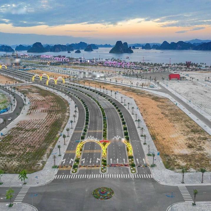 Bán gấp đất dự án mặt tiền 5m, hướng Đông - Nam tại Xã Đông Xá - Vân Đồn - Quảng Ninh, giá 2,5 tỷ - Ảnh 1