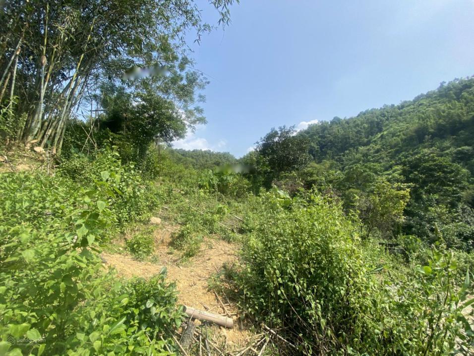 Lô đất rẻ nhất thị trường tại Đà Bắc