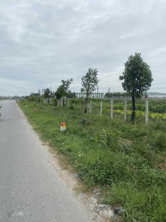 Chuyển nhượng 5ha đất CN xã Cẩm Hưng, Cẩm Giàng, Hải Dương