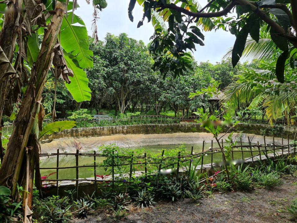 Cho thuê lại FarmStay đã xây dựng và hoàn thiện