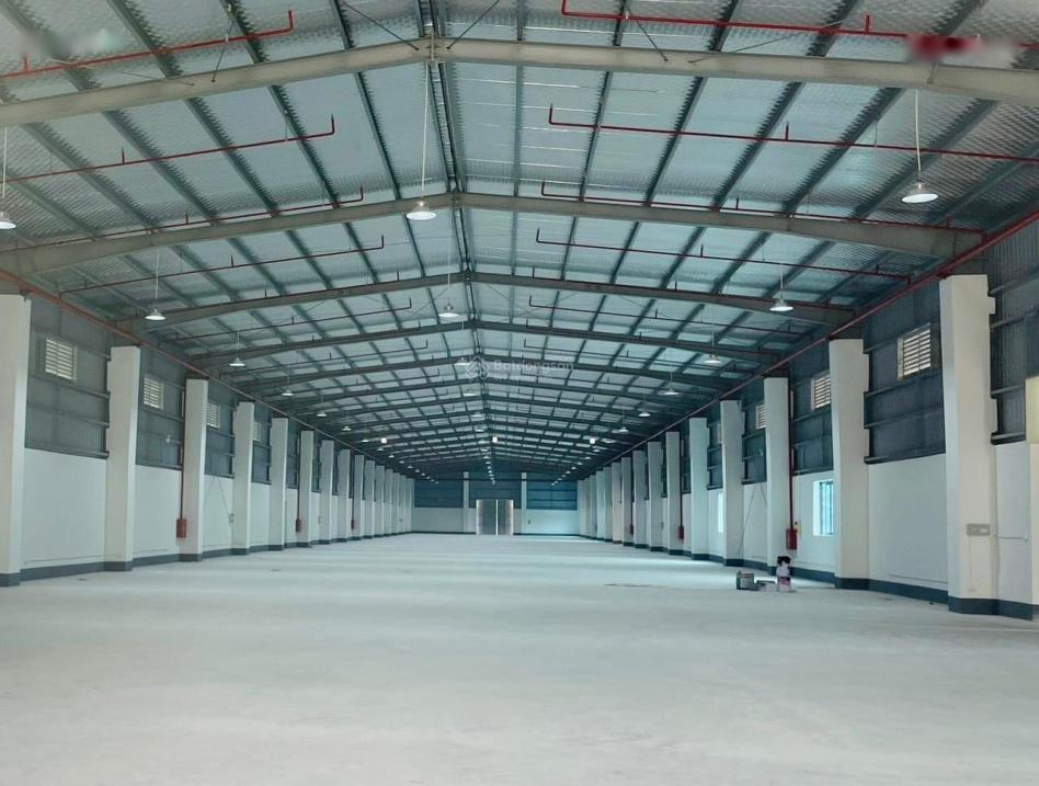 Cho thuê kho nhà xưởng 12.000m2 tại An Dương. PCCC tự động xe công vào tận nơi, pháp lý đầy đủ