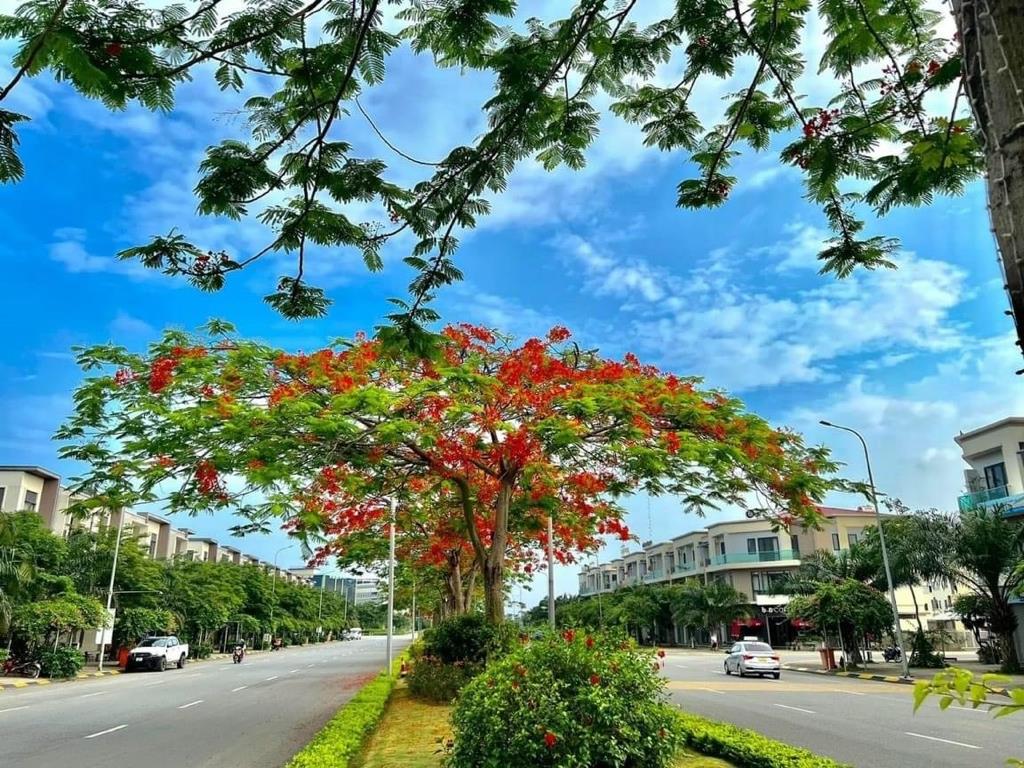 Bán gấp liền kề 3 tầng, 135 m2, giá rẻ tại Đường Hữu Nghị - Phù Chẩn - Từ Sơn - Bắc Ninh