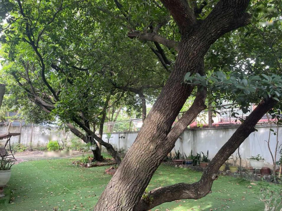 Cần bán ngay nhà sổ riêng 2 m2 tại Đường Công Lý - Bình Thọ - Thủ Đức - TP Hồ Chí Minh, giá 120 tỷ