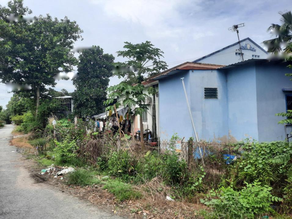 Bán gấp nhà shr hướng Đông - Nam tại Đường Tỉnh lộ 15 - Tân Thạnh Đông - Củ Chi, giá 2,5 tỷ - Ảnh 1