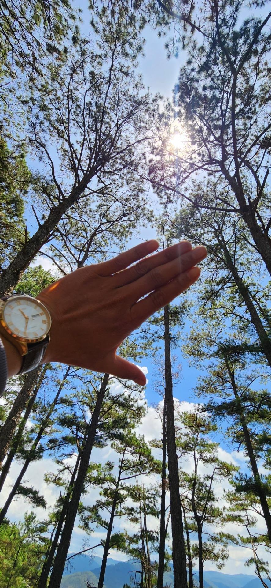 Cần bán mảnh đất 608 m2 tại Đường 2/4 - Thạnh Mỹ - Đơn Dương - Lâm Đồng, giá 10 tỷ