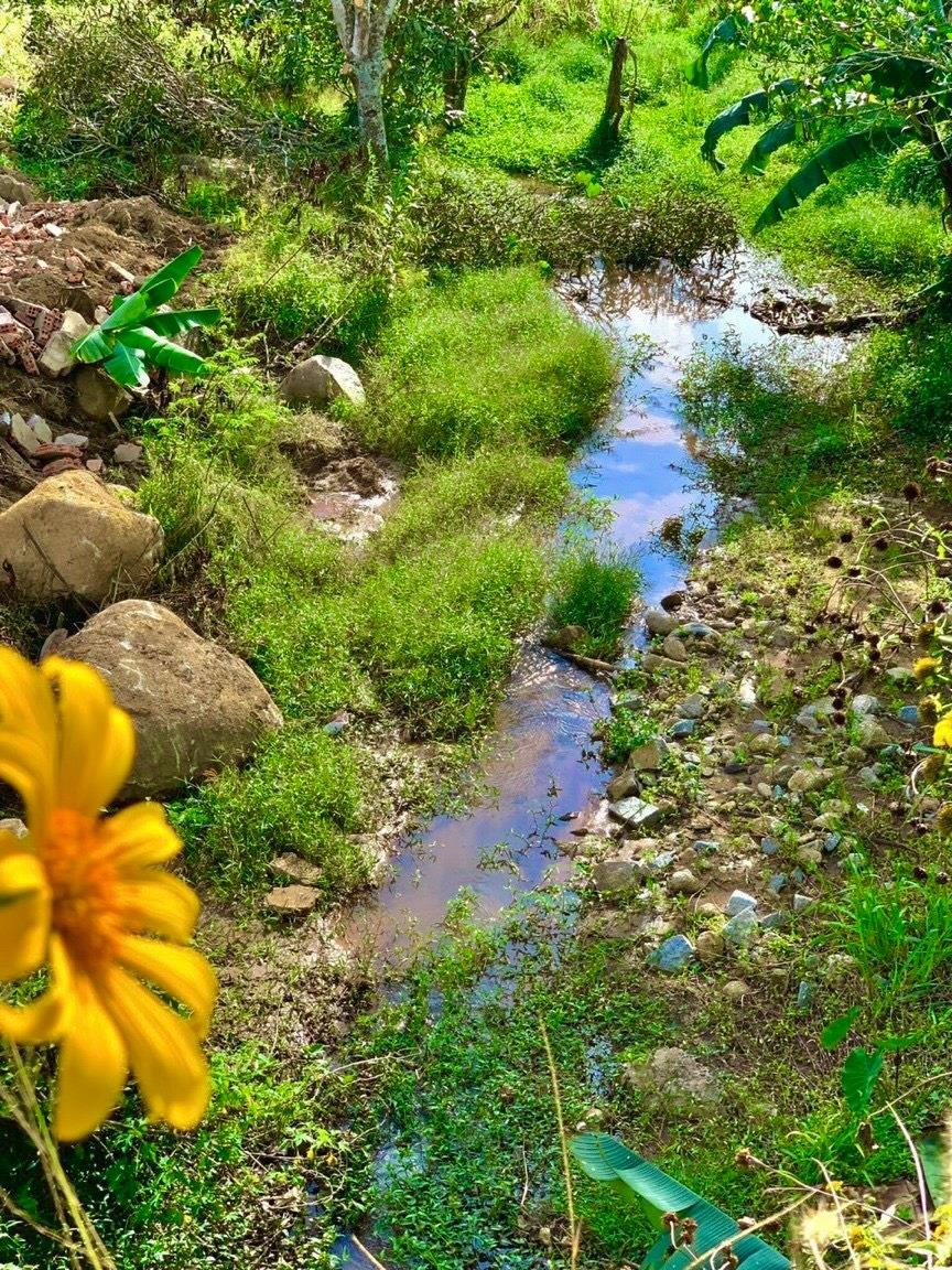 Cần bán nhanh đất nền dự án 575 m2 tại Đường ĐT 725 - Nam Ban - Lâm Hà - Lâm Đồng, giá 750 tr