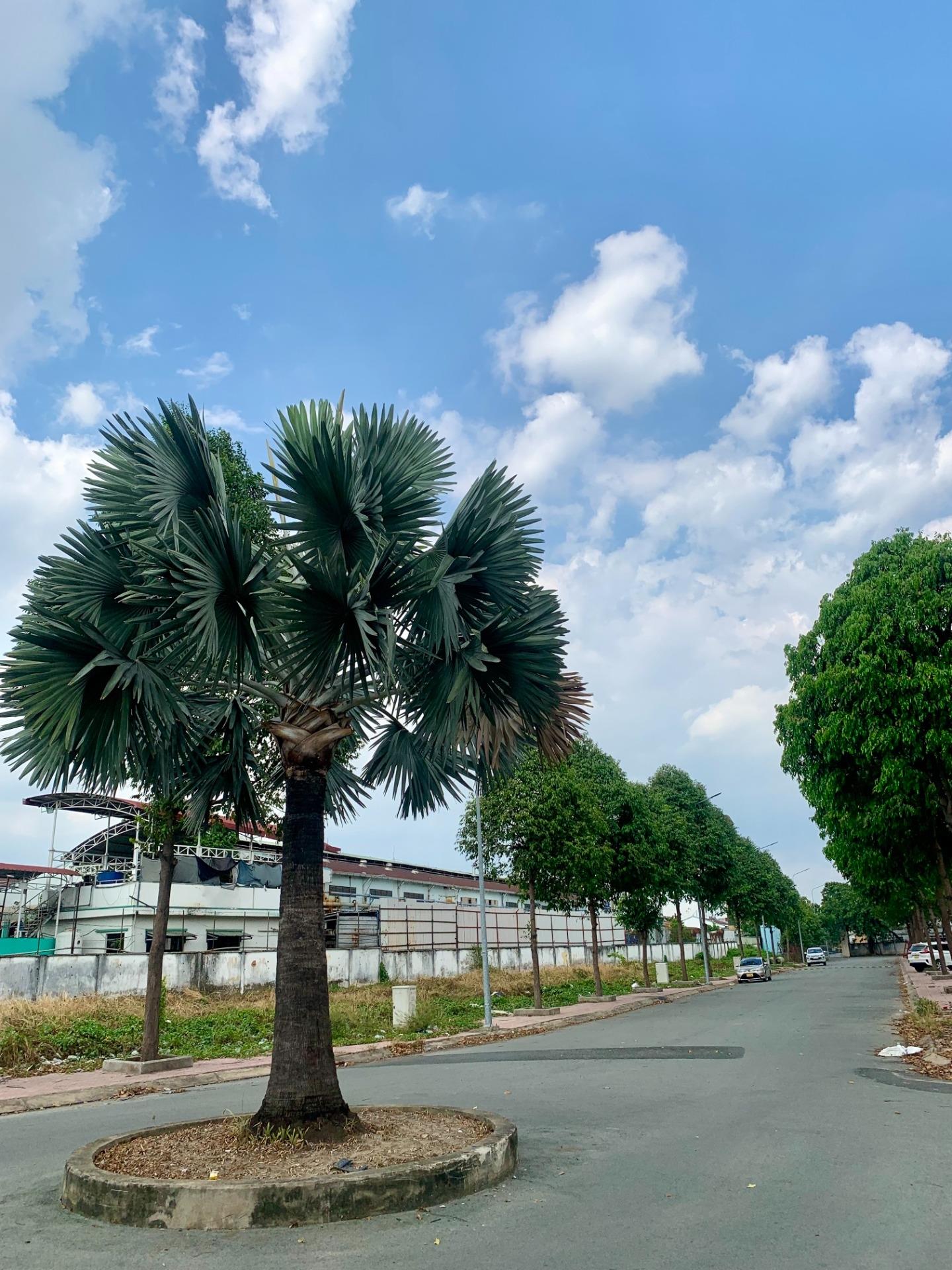 Cần bán ngay căn hộ chung cư 60 m2, giá 1.3 tỷ tại Đường Nguyễn Du - Thuận An - Bình Dương