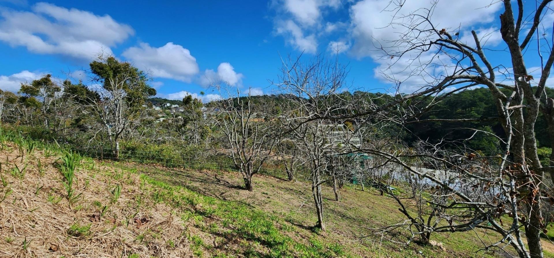 Bán gấp lô đất nền 1000 m2 tại Đường Xuân Thọ - Xuân Thọ - Đà Lạt - Lâm Đồng, giá 8.5 tỷ