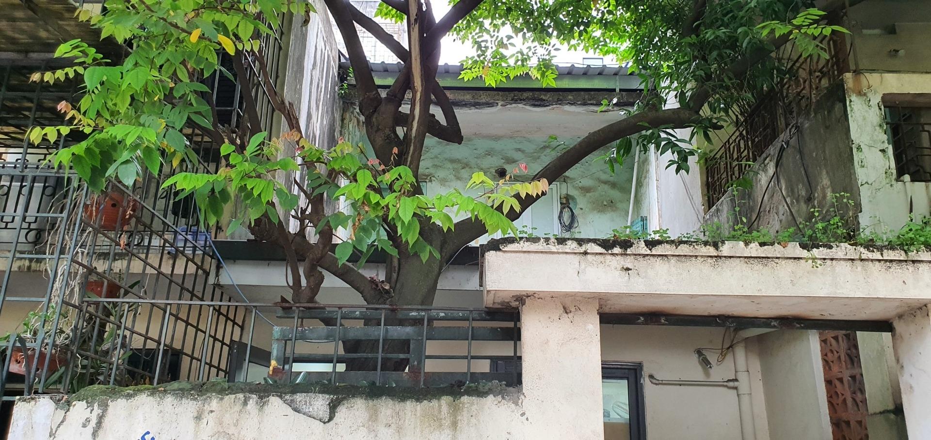 Cần bán ngay nhà riêng sổ đỏ 55 m2 tại Đường Nguyễn An Ninh - Hoàng Mai, giá 7.4 tỷ