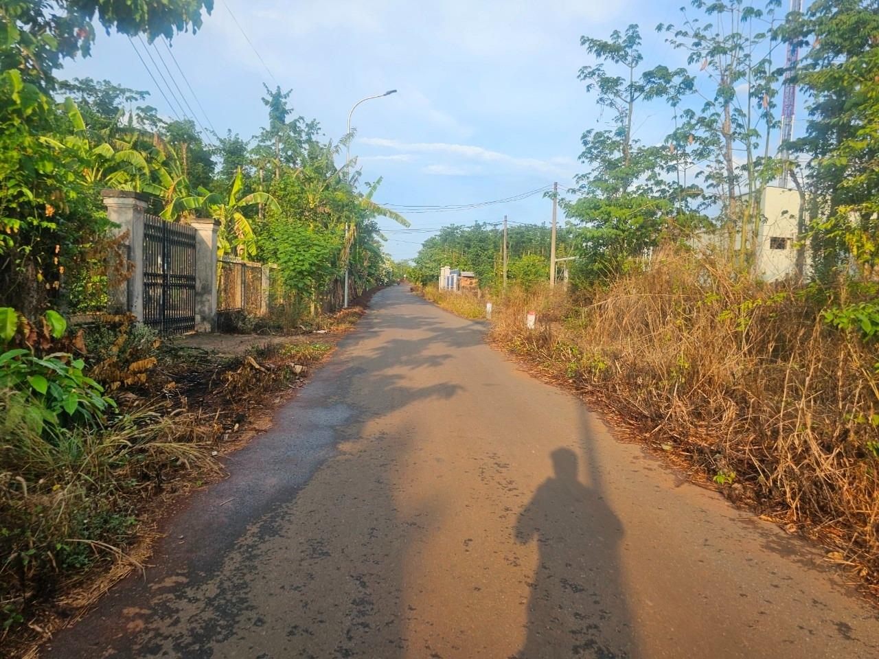 Bán lô đất sổ riêng 9055 m2, hướng Nam tại Xã Kim Long - Châu Đức - Bà Rịa Vũng Tàu, giá 12 tỷ