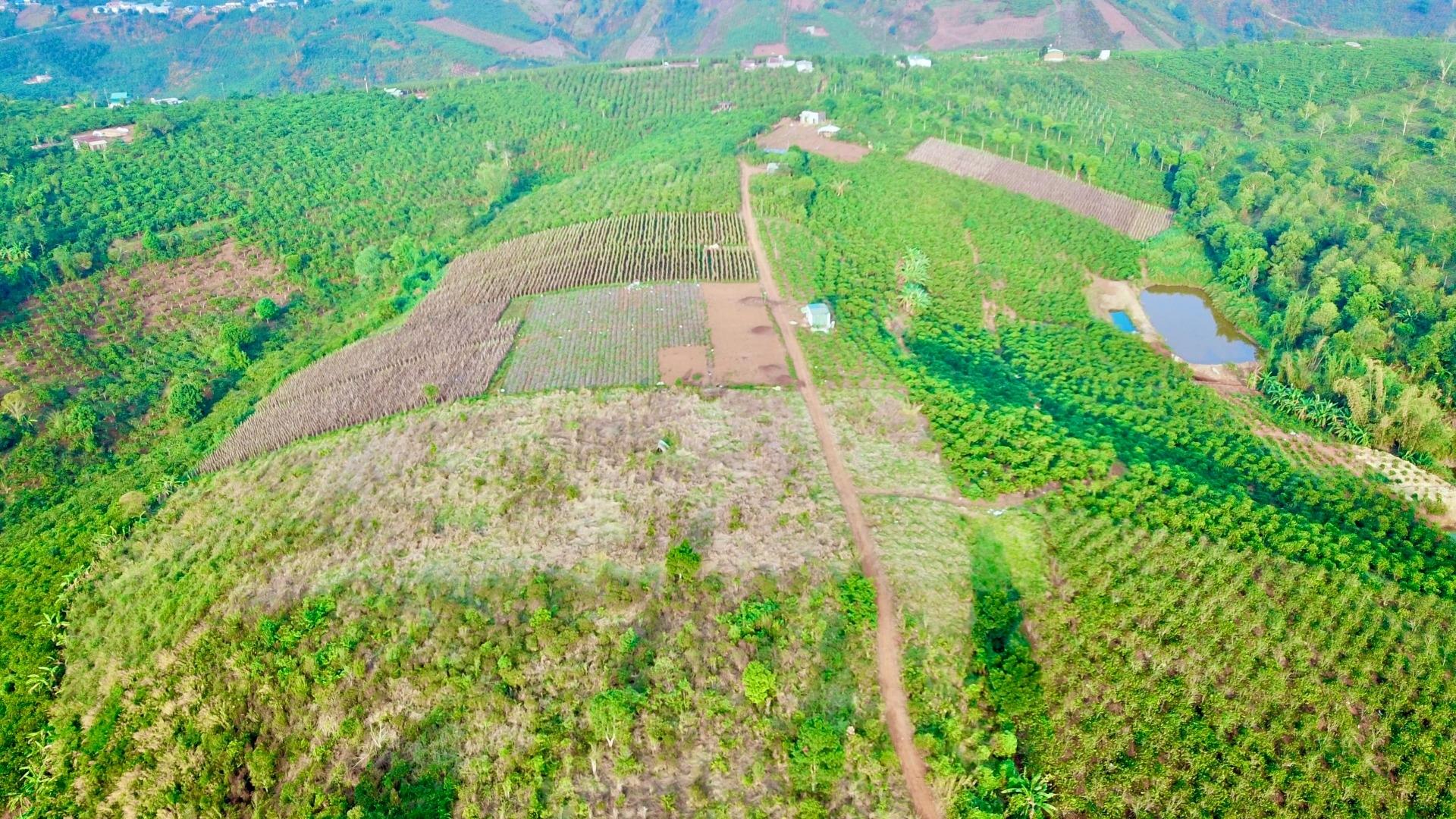 Cần bán ngay nền đất 6600 m2 tại Đường 28 - Tân Thượng - Di Linh - Lâm Đồng, giá 930 tr