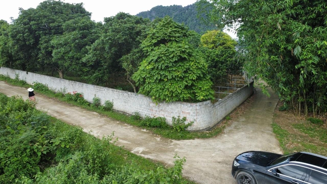 Cần bán ngay đất 140 m2 tại Xã Yên Trị - Yên Thủy - Hòa Bình, giá 195 tr