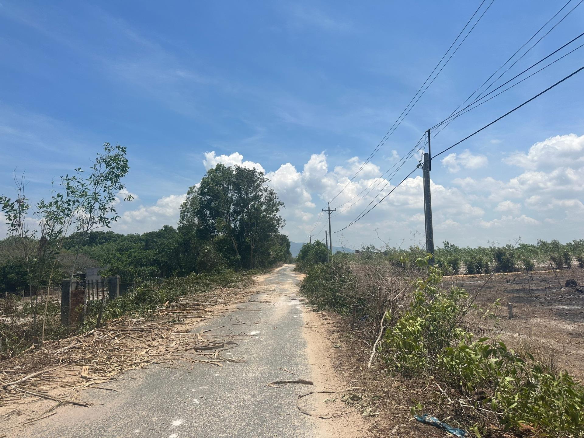 Bán nhanh lô đất nền 1330 m2, hướng Tây-Nam tại Tân Phước - La Gi - Bình Thuận, giá 4.05 tỷ