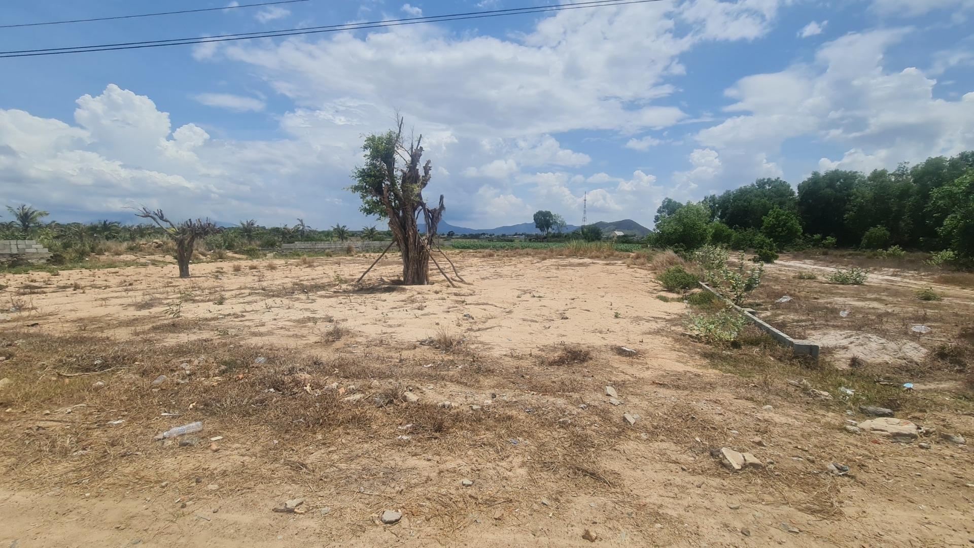 Bán đất 5800 m2, hướng Nam tại Đường Hùng Vương - Tân Tiến - La Gi - Bình Thuận, giá 25 tỷ