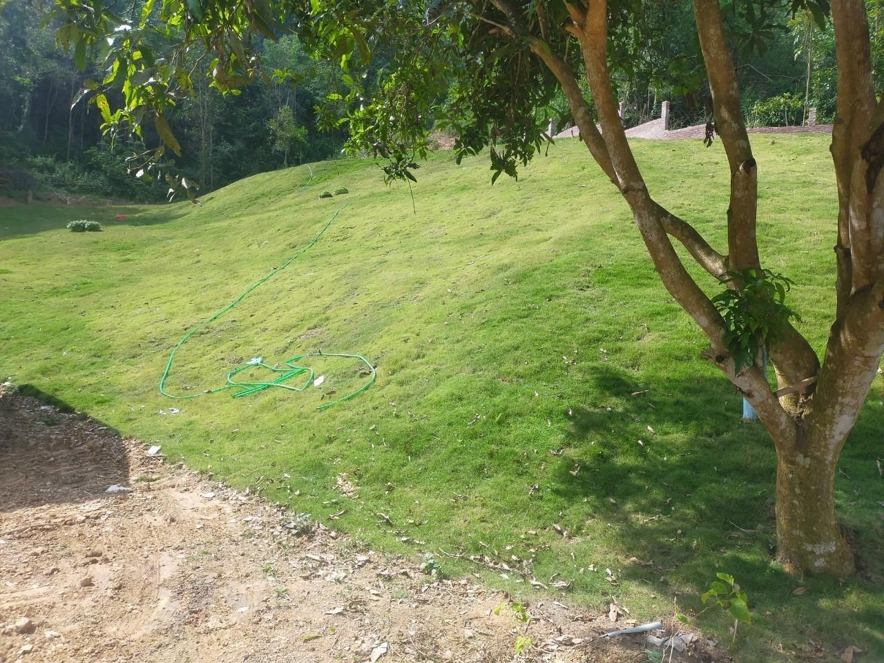 Sở hữu ngay mảnh đất 7000 m2 tại Thị trấn Kỳ Sơn - Kỳ Sơn - Hòa Bình, giá 7 triệu