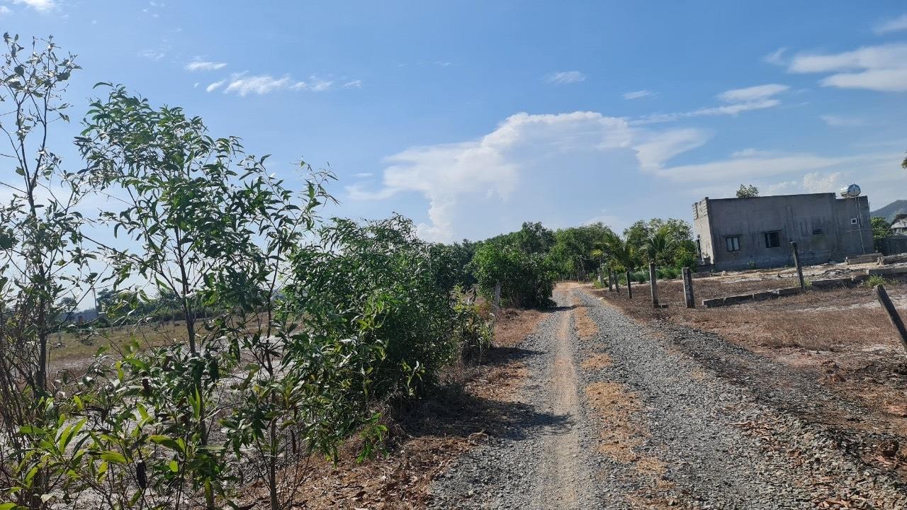 Cần bán lô đất 454 m2, hướng Đông-Bắc tại Tân Tiến - La Gi - Bình Thuận, giá 1.4 tỷ - Ảnh 1