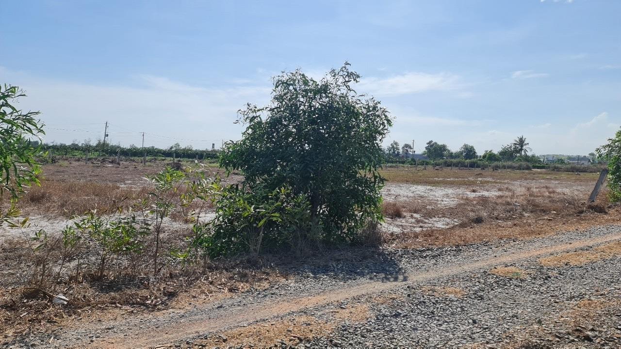 Cần bán lô đất 454 m2, hướng Đông-Bắc tại Tân Tiến - La Gi - Bình Thuận, giá 1.4 tỷ