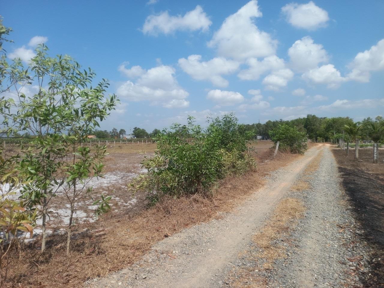 Cần bán lô đất 454 m2, hướng Đông-Bắc tại Tân Tiến - La Gi - Bình Thuận, giá 1.4 tỷ