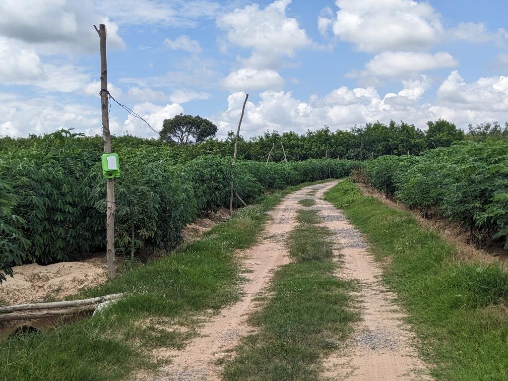 Sở hữu ngay mảnh đất 1000 m2, hướng Đông-Bắc tại Hòa Thạnh - Châu Thành - Tây Ninh, giá 175 tr