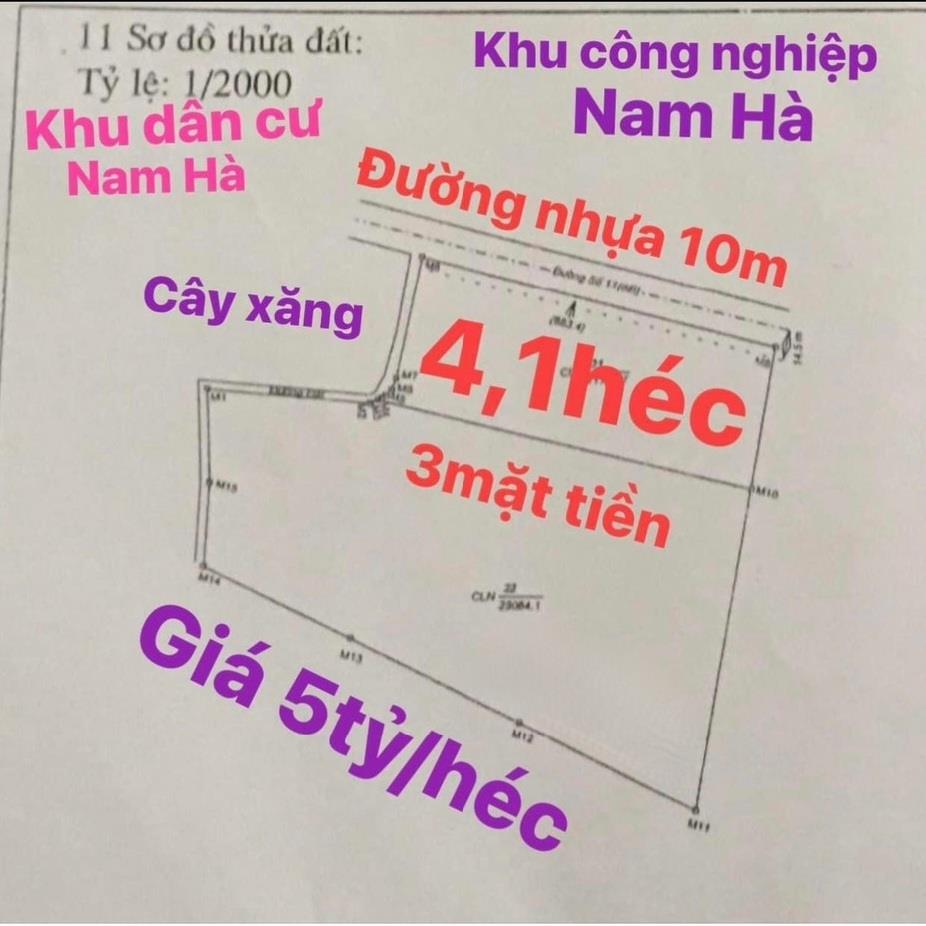 Bán gấp miếng đất 40000 m2, mặt tiền 165m tại Đông Hà - Đức Linh - Bình Thuận, giá 20 tỷ