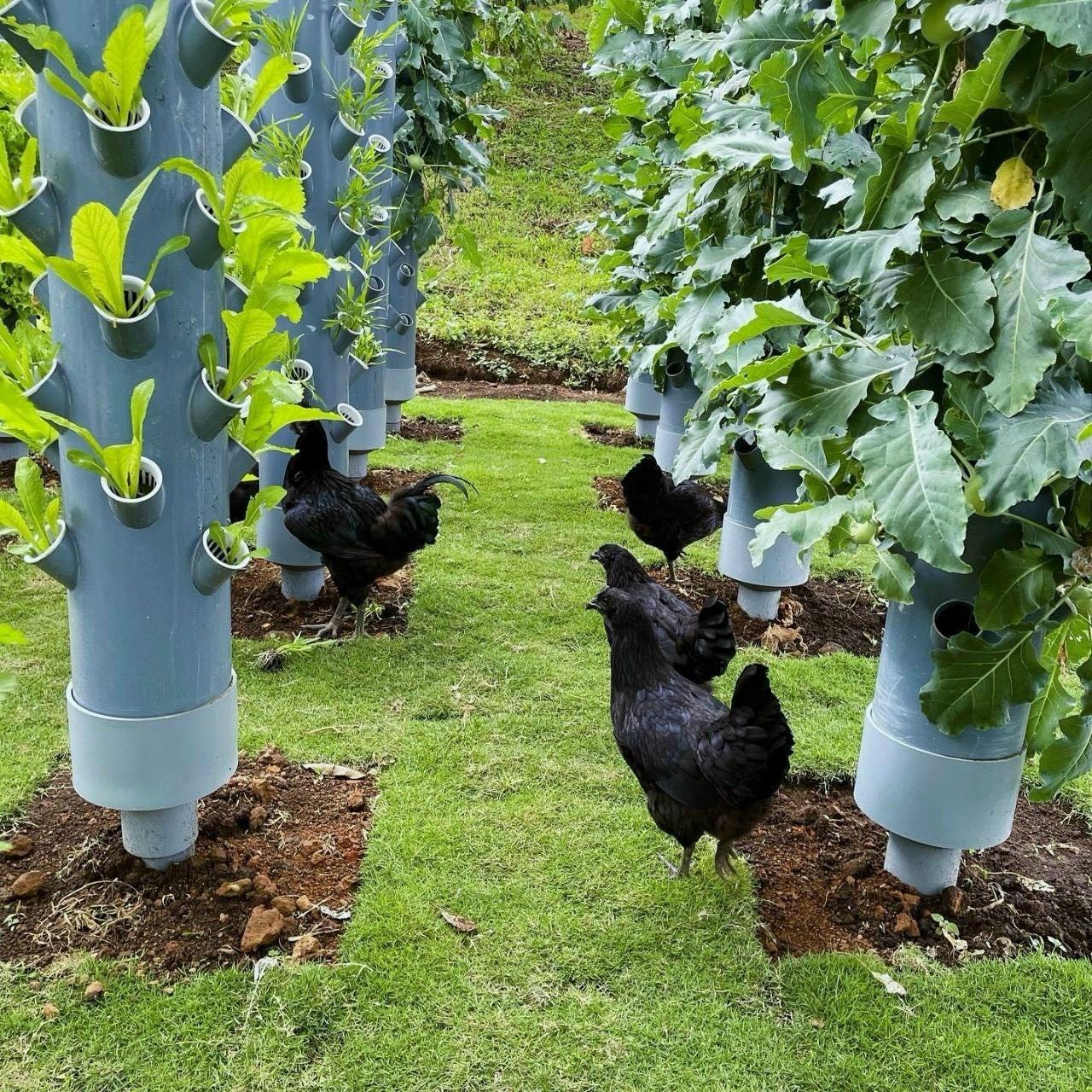 Cần bán đất nền 1000 m2 tại Xã Lộc Thành - Bảo Lâm - Lâm Đồng, giá 1,45 tỷ