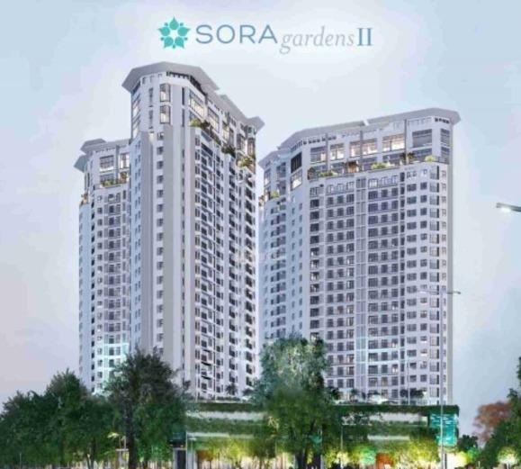 Cho thuê gấp căn hộ chung cư 53 m2 tại Đường Hùng Vương - Thủ Dầu Một, giá 13 tr/tháng - Ảnh 1