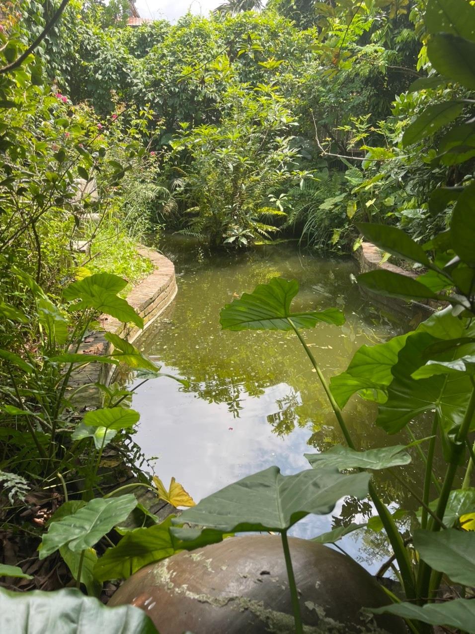 Bán gấp lô đất 549 m2 tại Đường DH205 - Liên Nghĩa - Văn Giang - Hưng Yên, giá 10 tỷ