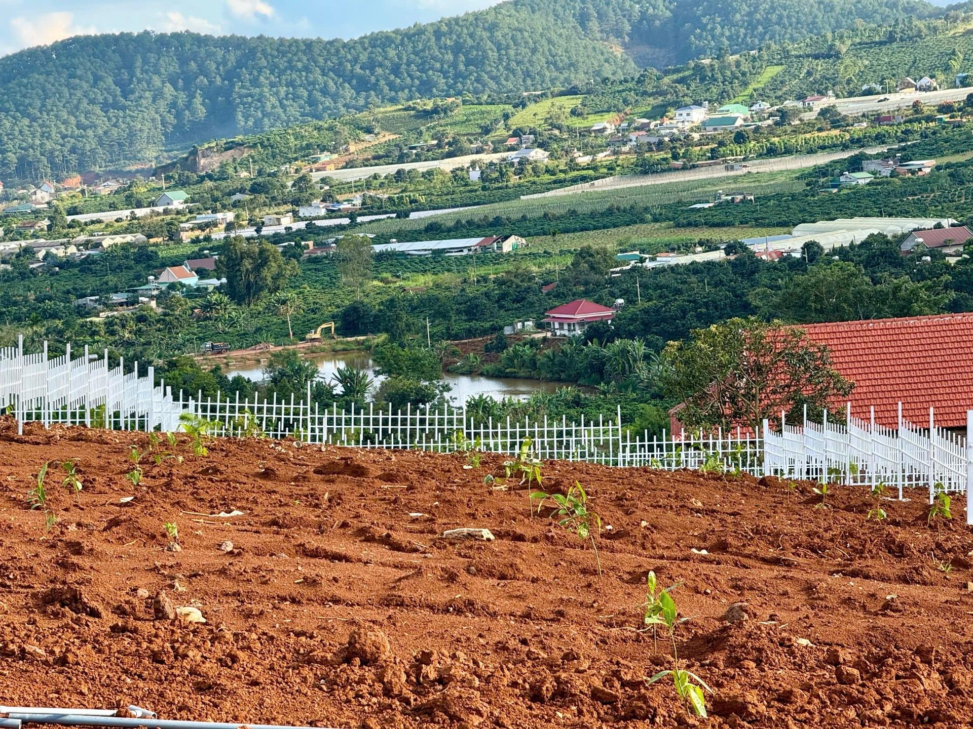 Sở hữu ngay lô đất 438 m2 tại Đường ĐT 725 - Nam Ban - Lâm Hà - Lâm Đồng, giá 1,25 tỷ