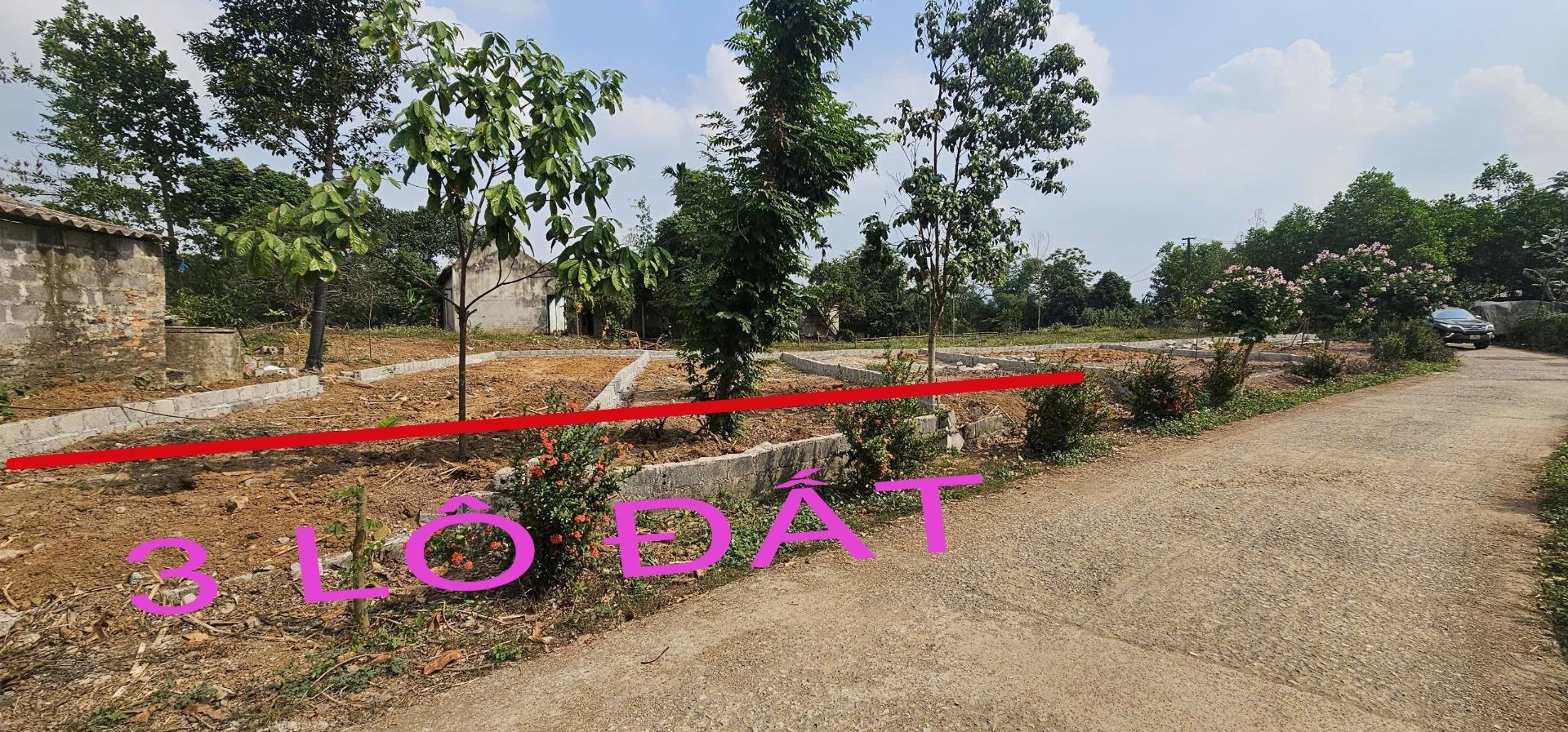 Cần bán gấp đất 100 m2 tại Đường Hồ Chí Minh - Ba Hàng Đồi - Lạc Thủy - Hòa Bình, giá 560 triệu - Ảnh 1