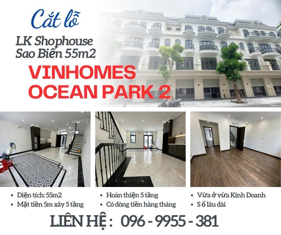 Cần bán gấp nhà lk 55 m2, thỏa thuận tại Xã Long Hưng - Văn Giang - Hưng Yên