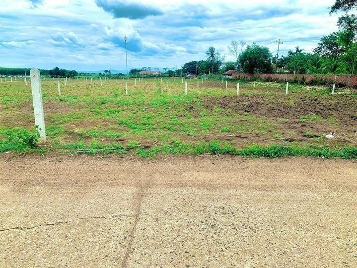 áp lực trã lãi ngân hàng công ty cần bán gấp 500m2 đất tại sơn hòa, giá 135tr