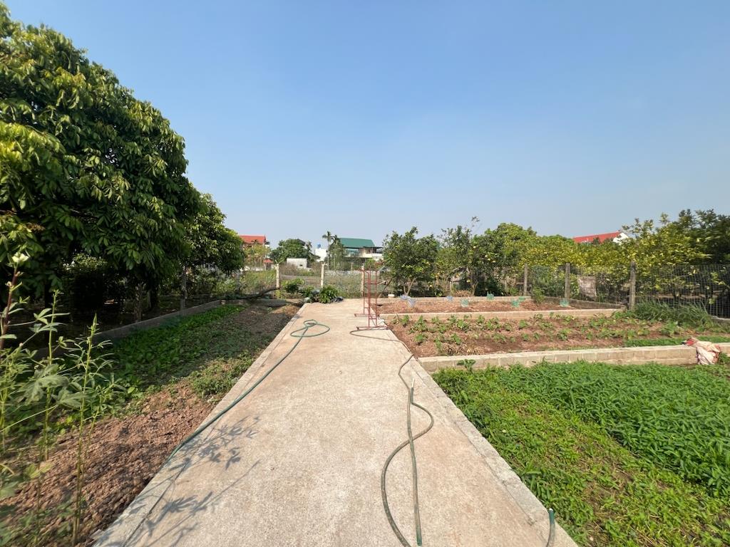 Chuyển nhượng lô đất 43.5 m2, mặt tiền 474m tại Xã Thư Phú - Thường Tín - Hà Nội, giá rẻ