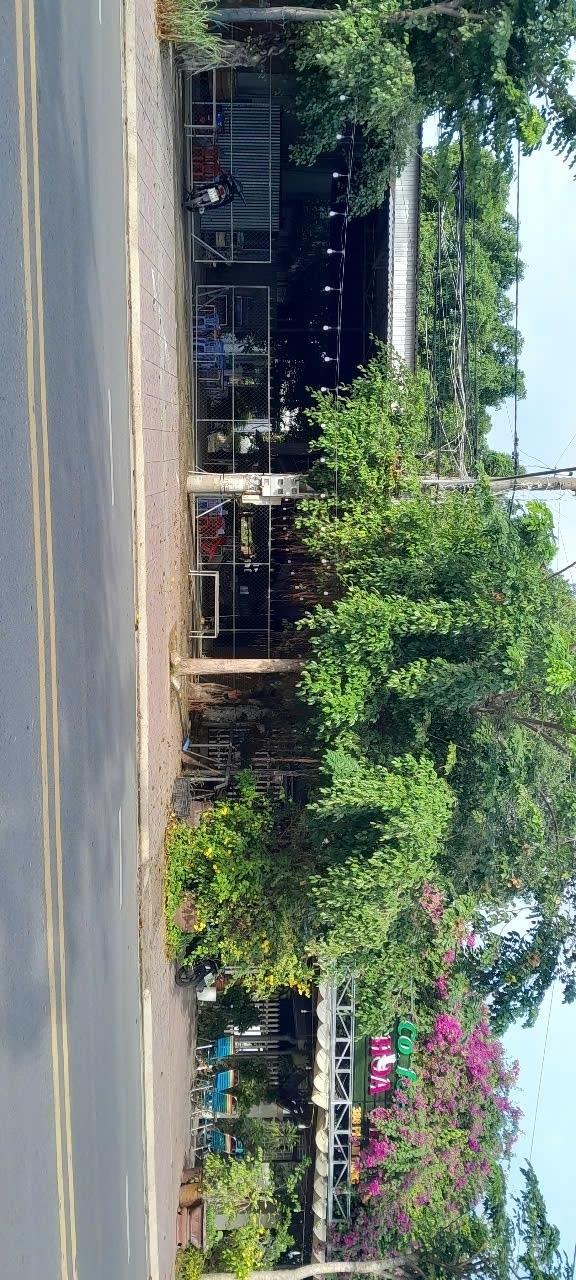 Sở hữu đất nền 728 m2 tại Đường Phạm Hùng - Long Thành Trung - Hòa Thành - Tây Ninh, giá 6.5 tỷ