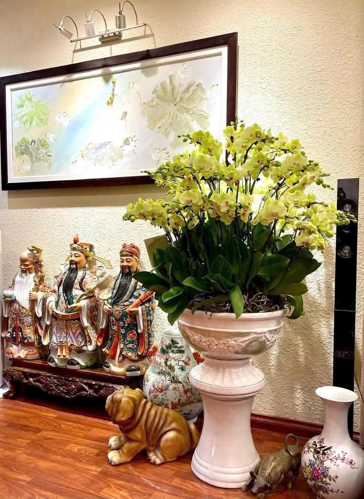 Chuyển nhượng nhà mặt tiền 52 m2, hướng Đông tại Xã Nghĩa Thắng - Nghĩa Hưng, giá 850 tr